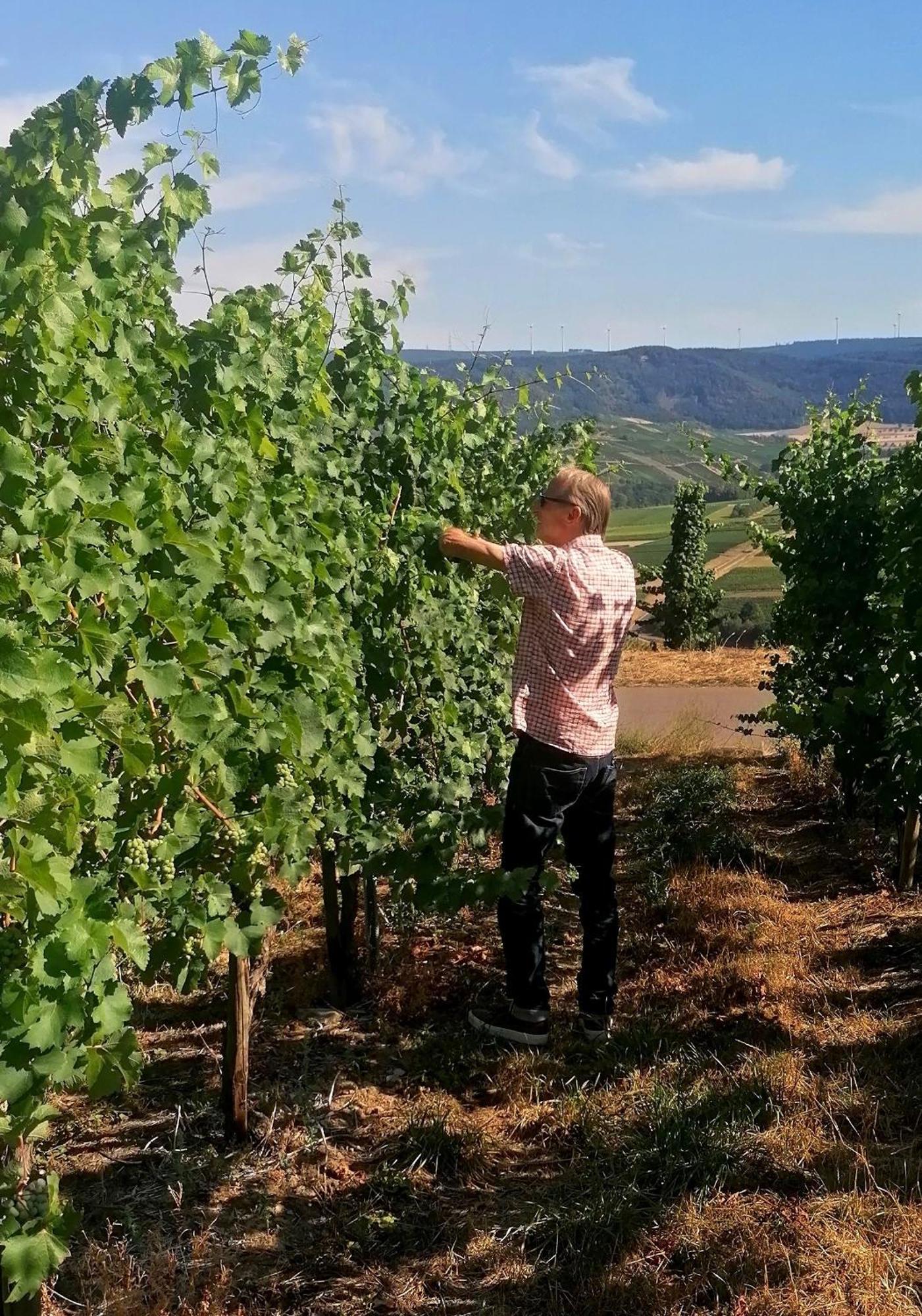 Weingut Tiliahof Bed & Breakfast Brauneberg