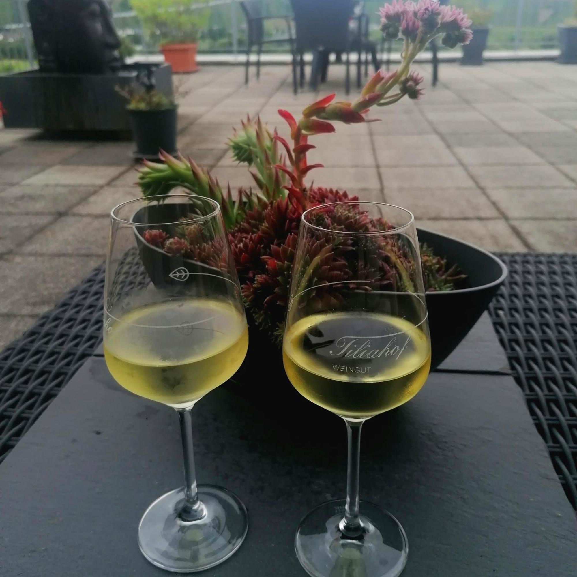 Weingut Tiliahof 3*