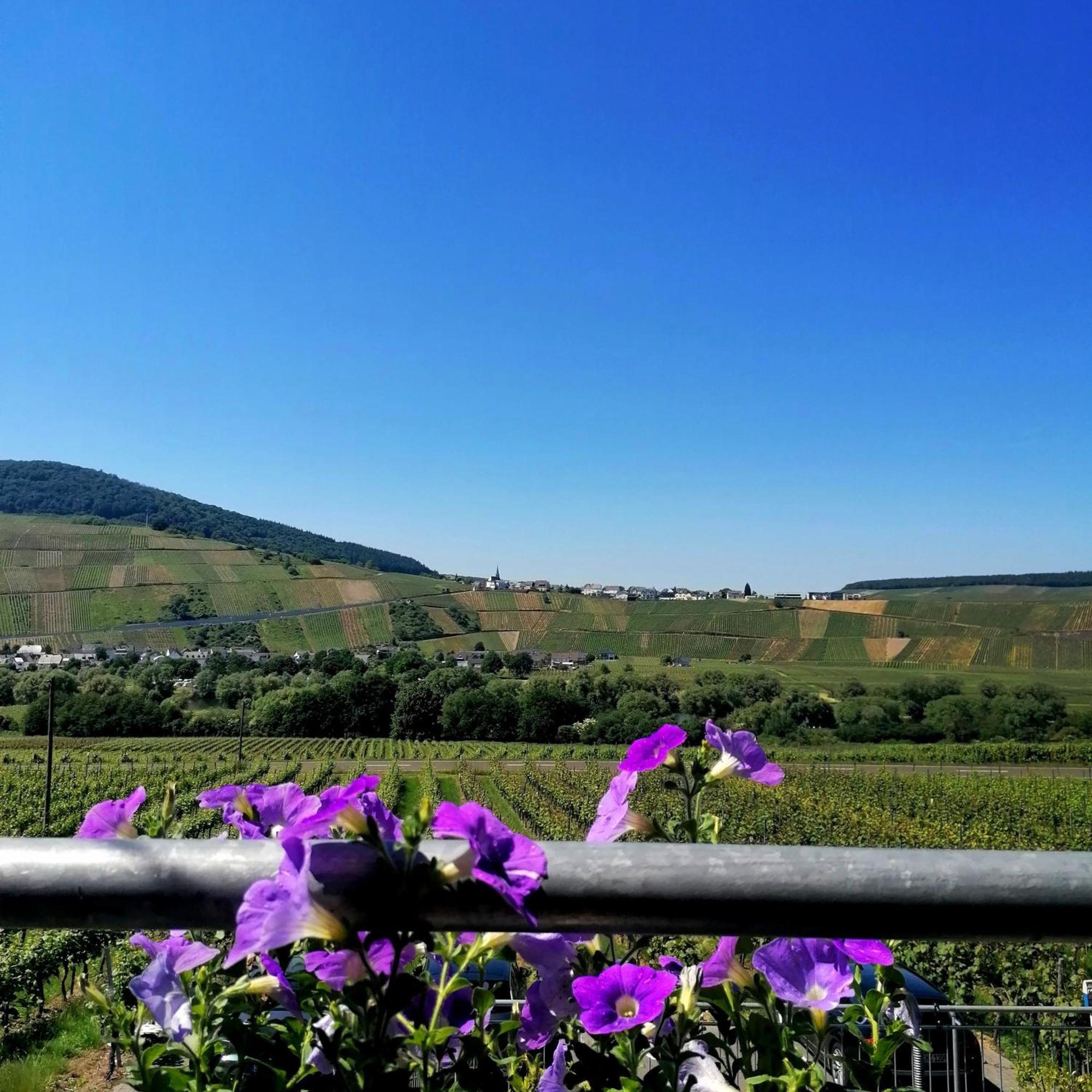 Weingut Tiliahof Bed & Breakfast 3*