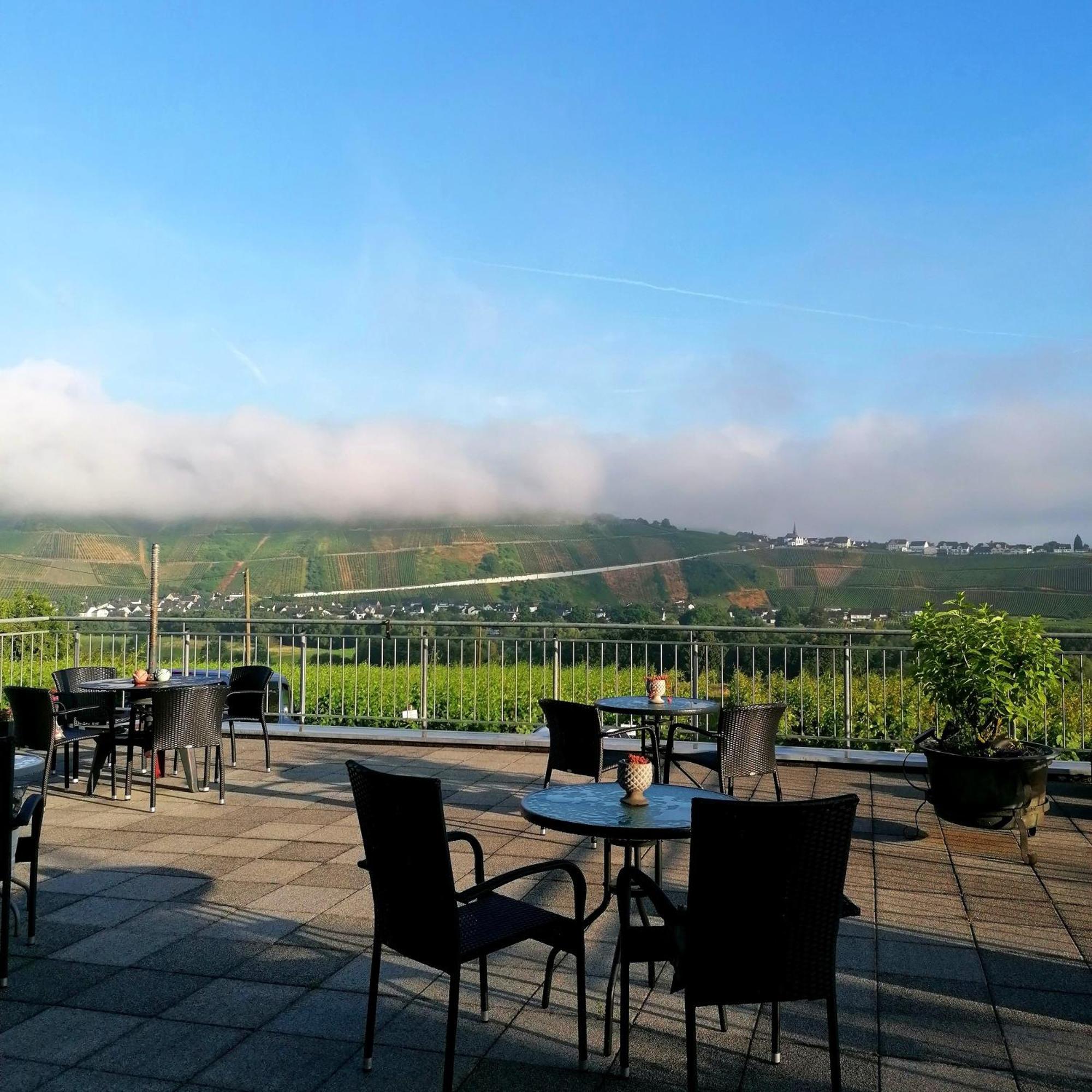 Weingut Tiliahof Bed & Breakfast Brauneberg